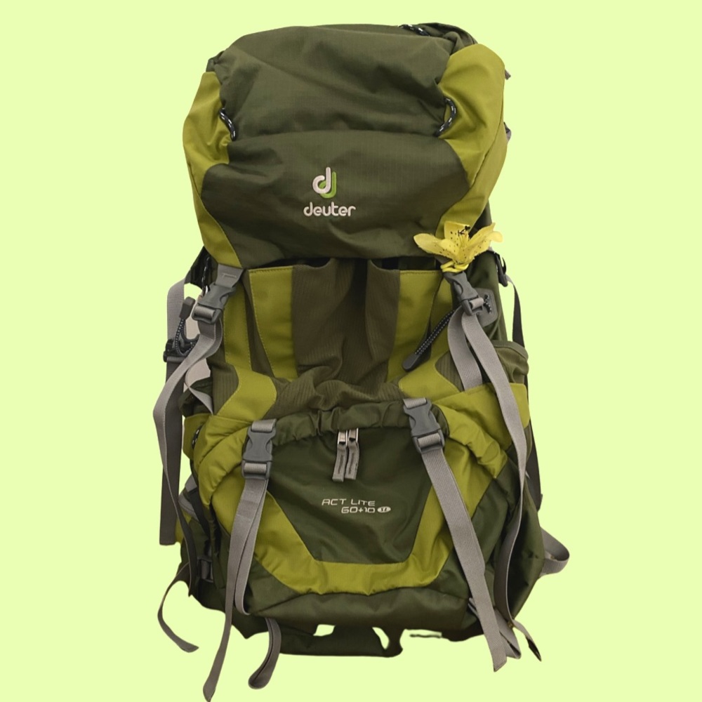 ACT Lite 60 + 10 SL by Deuter.